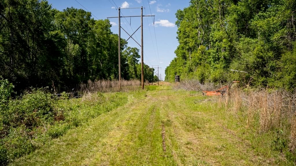 Deer and Turkey Property in Pike County, MS