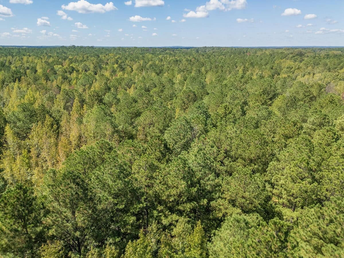 69 Acres For Sale Starkville MS