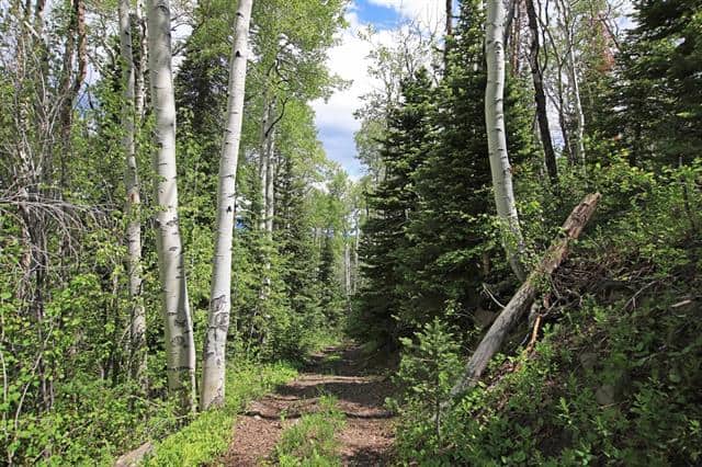 Colorado Hunting Land For Sale Near Vega State Park