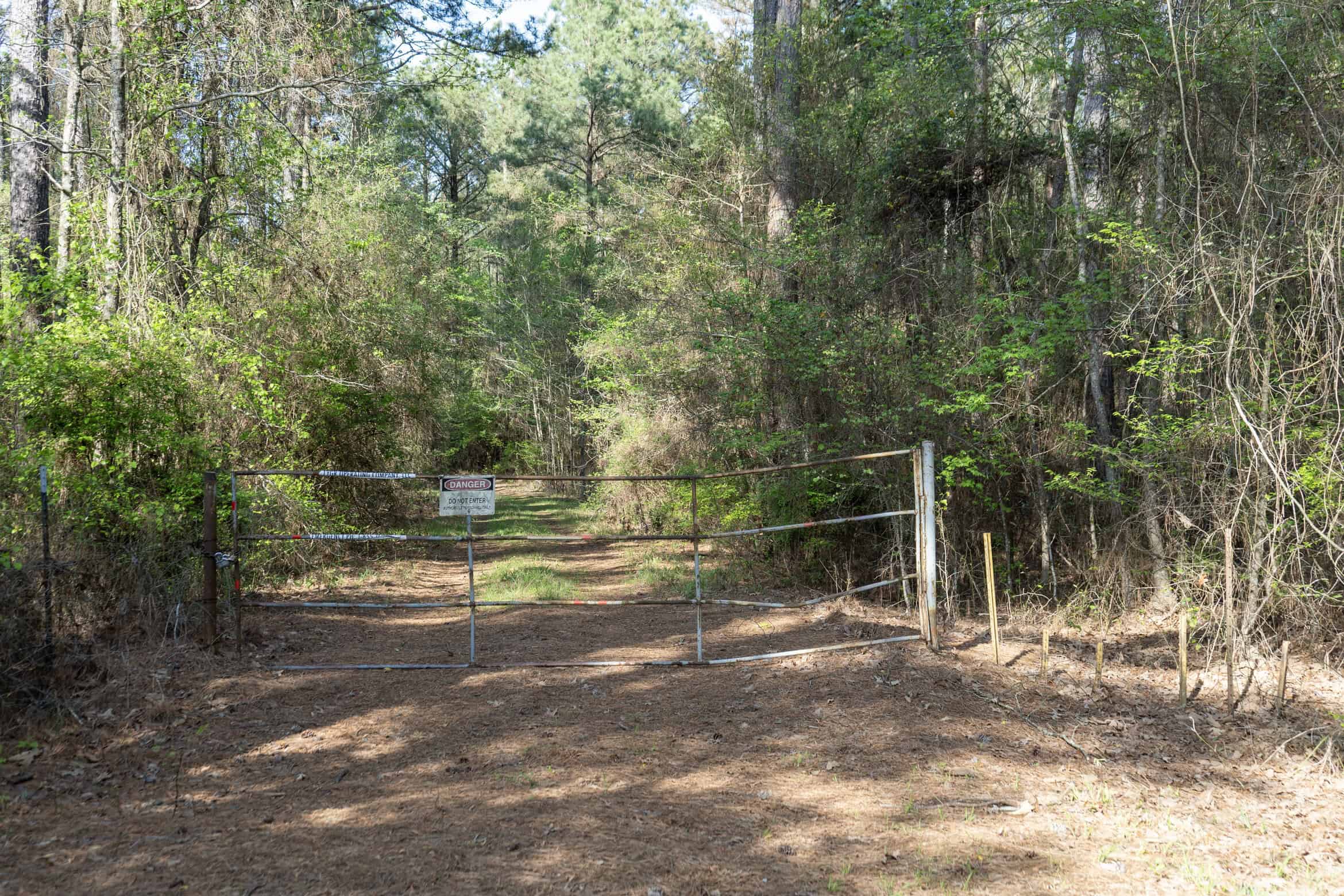 Longstraw 53 (Tract 2) Jackson Parish Timberland