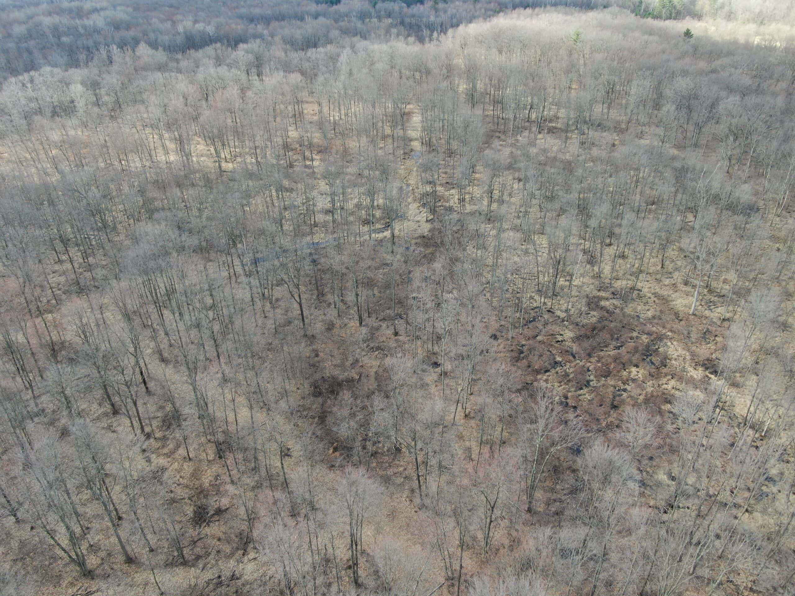 75-acre parcel in the heart of Clark County Wisconsin