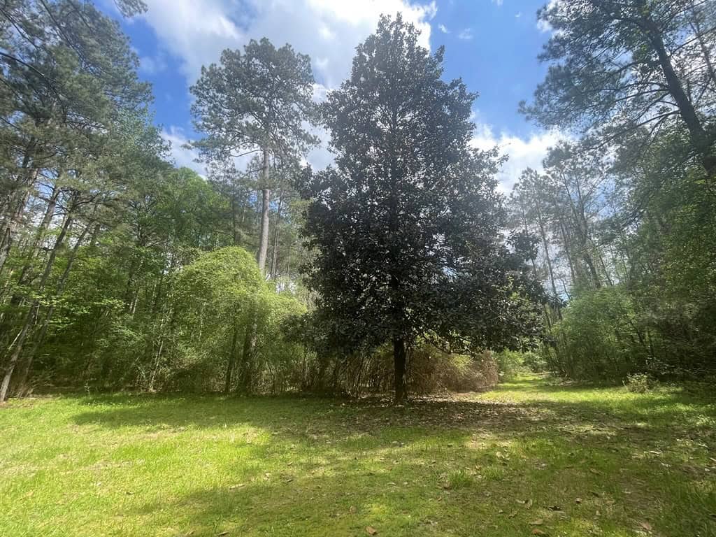 Amite County 38.6 Acres For Sale