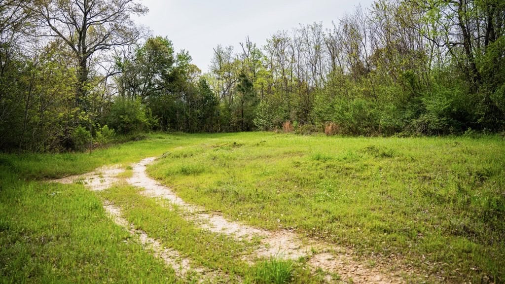 Affordable Property in Woodville, MS
