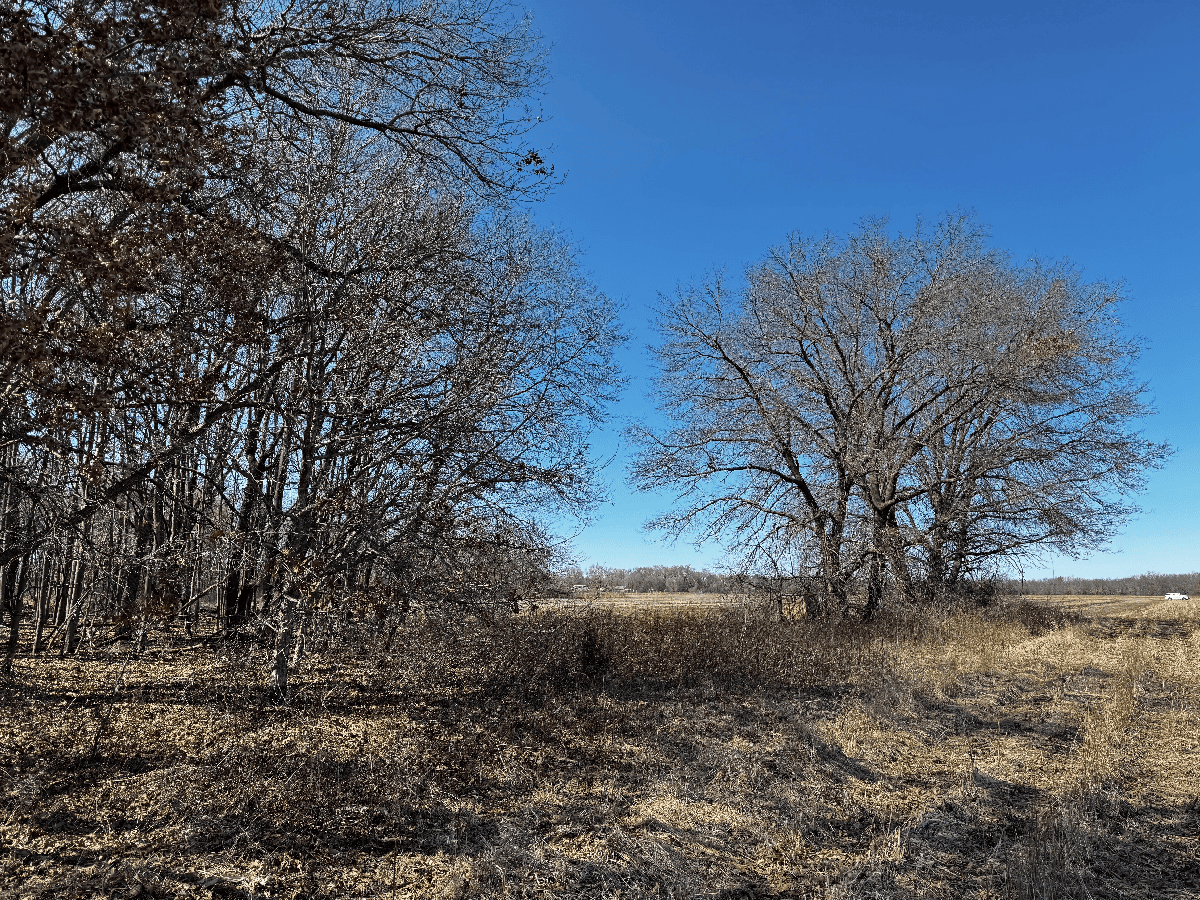 66.48 Acres located in the Town of Lewiston Columbia County
