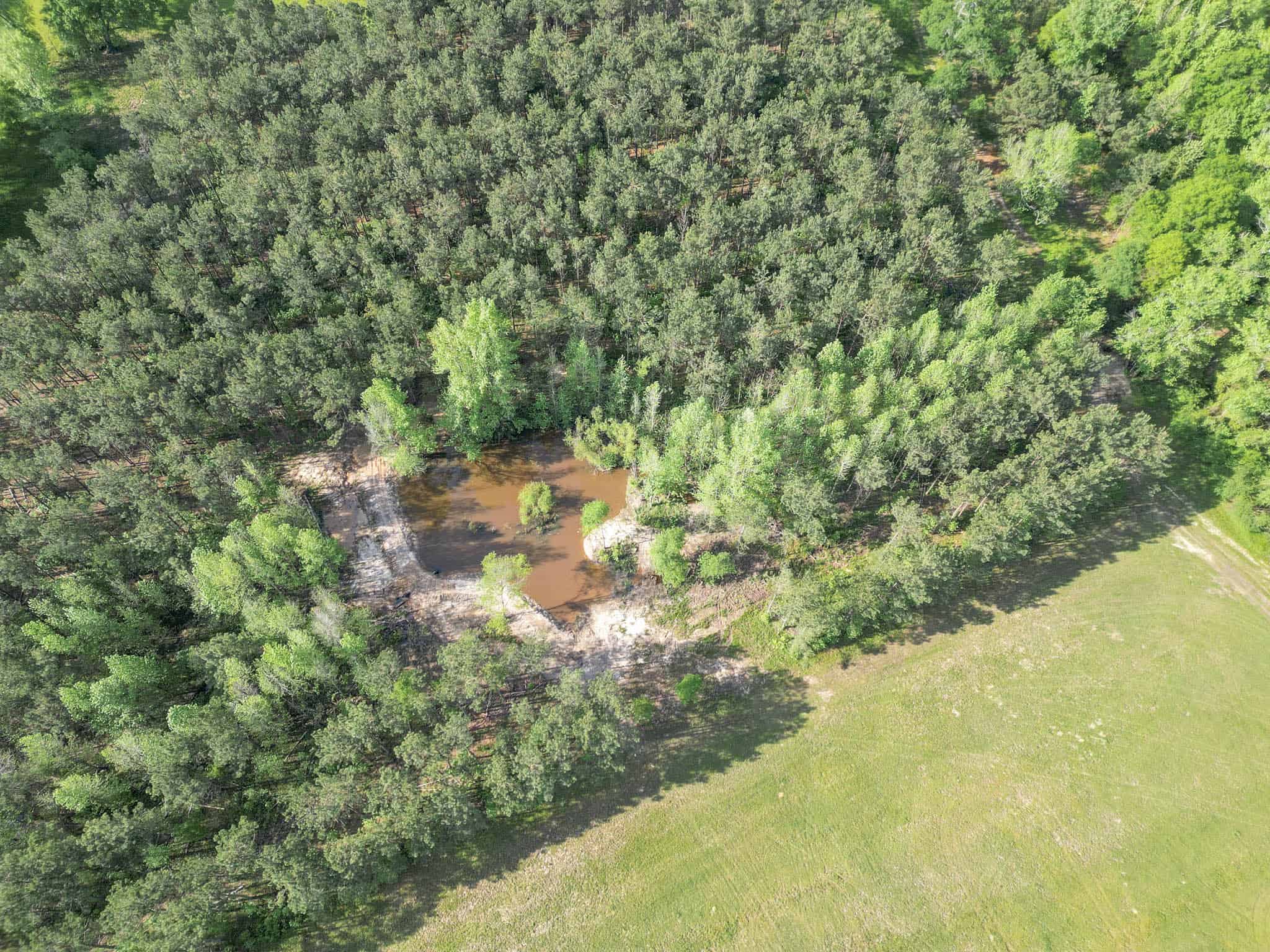 Twin Pine Ranch, An Exceptional East Texas Ranch Property