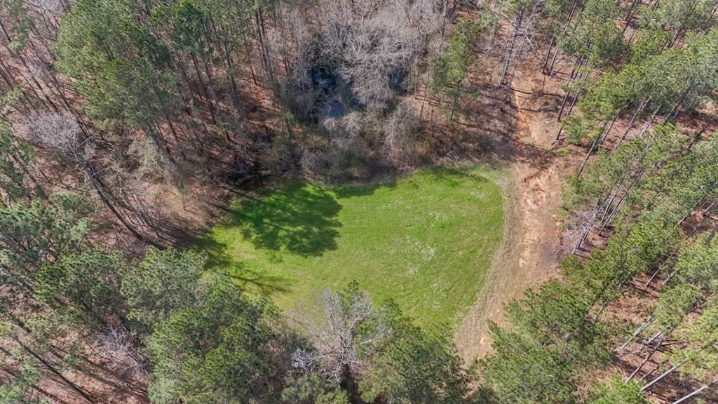 Amite County Hunting Land for Sale