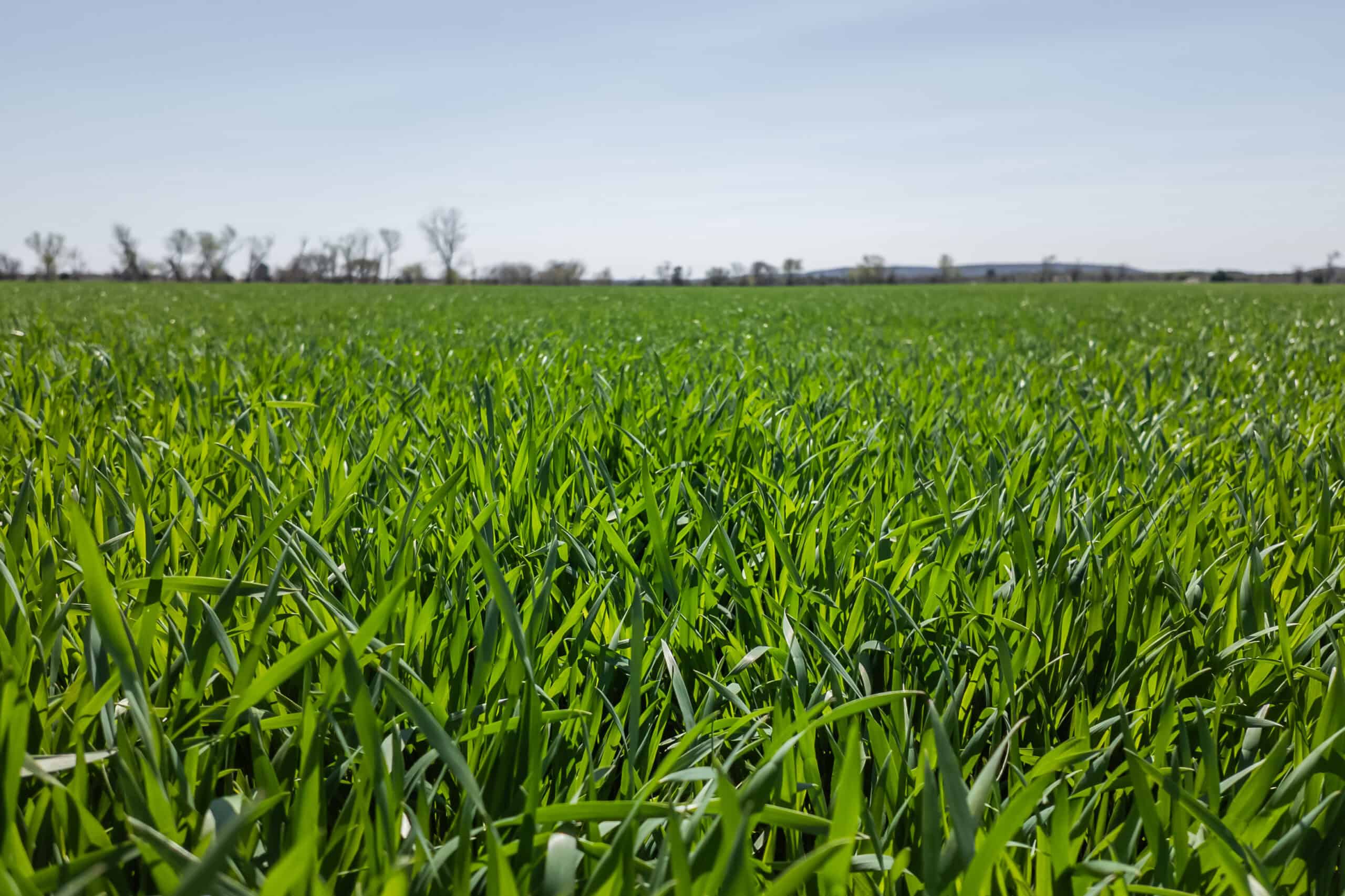 Montgomery County, KS Mixed-Use On-Line Land Auction