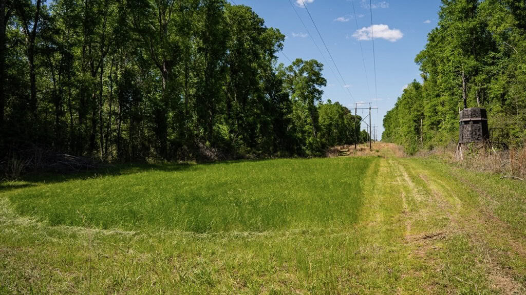 Deer and Turkey Property in Pike County, MS