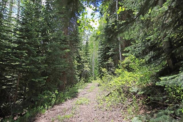 Colorado Hunting Land For Sale Near Vega State Park
