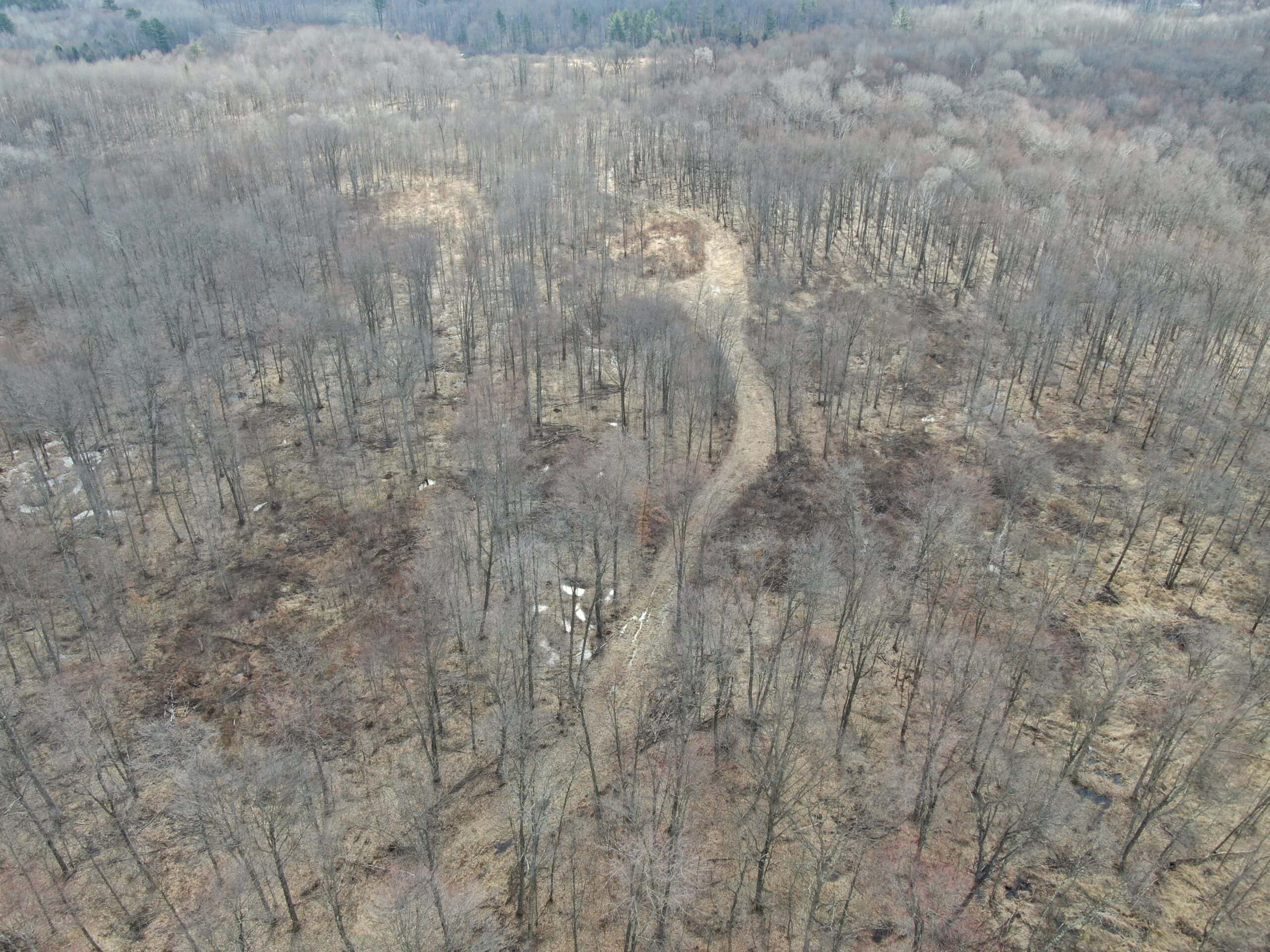 75-acre parcel in the heart of Clark County Wisconsin