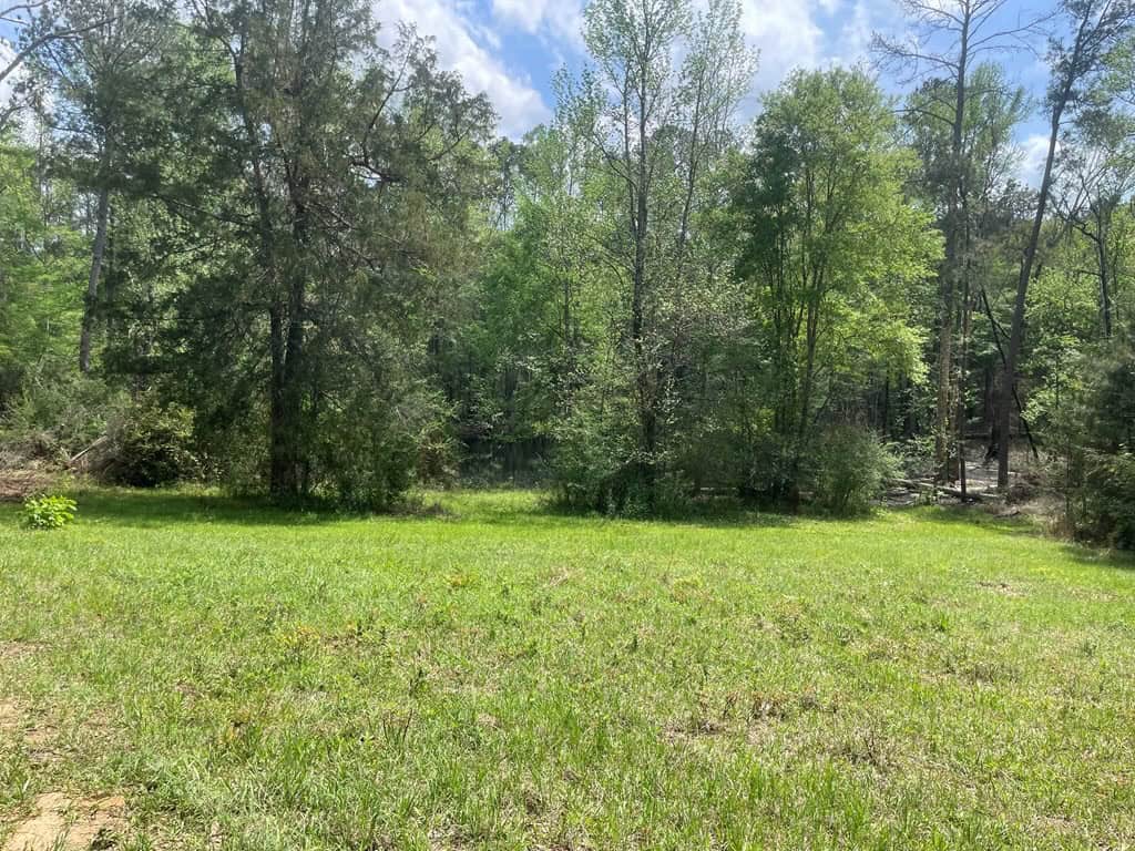 Amite County 38.6 Acres For Sale