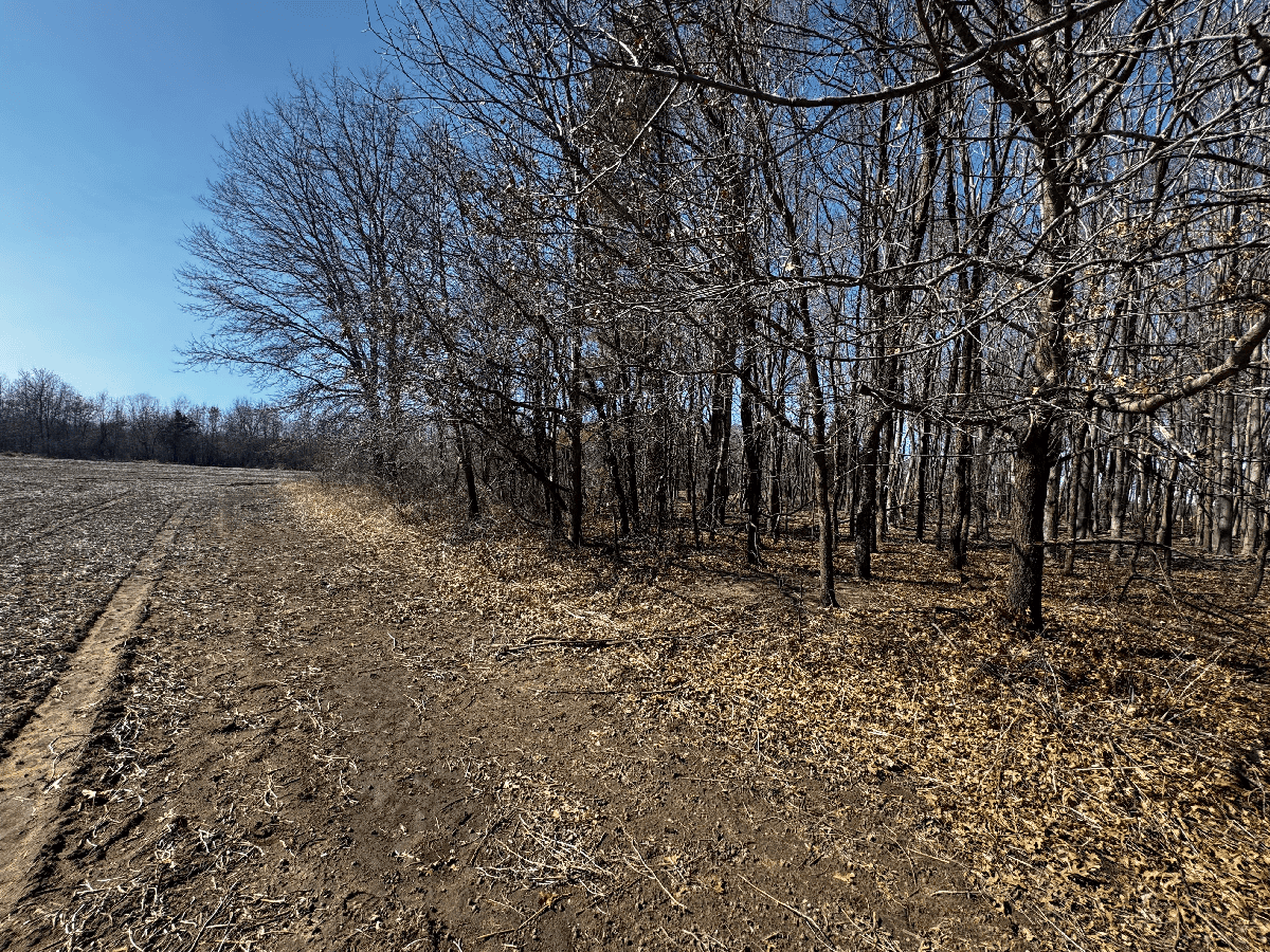 97.48± Acres of Tillable Land for Sale – Columbia County, WI