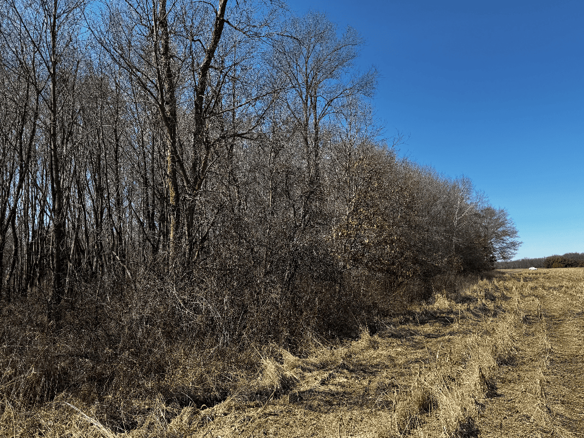 66.48 Acres located in the Town of Lewiston Columbia County