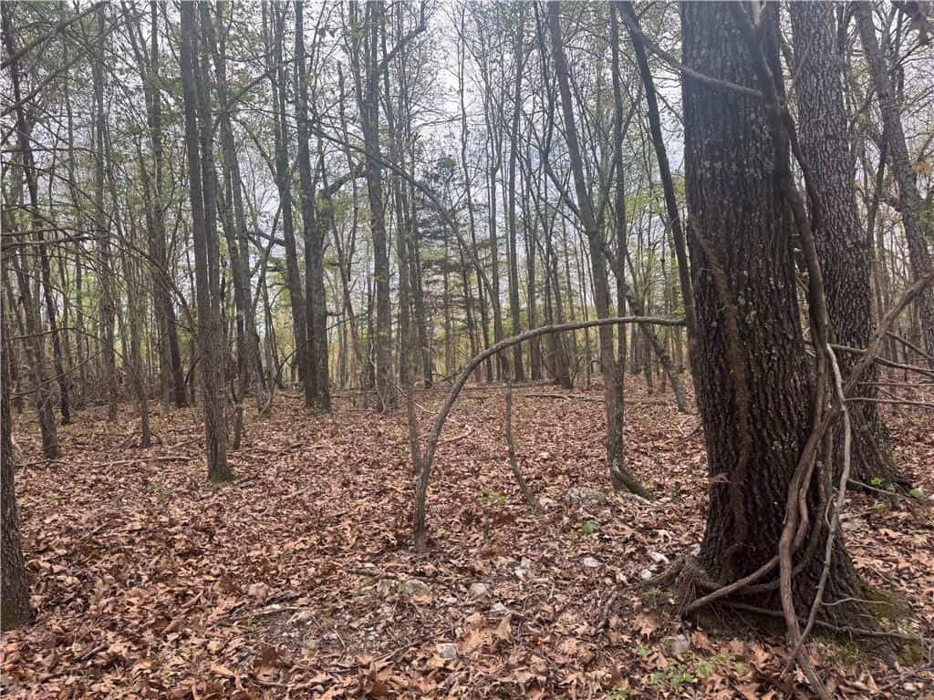 120 Acres Arkansas Hunting Land For Sale with Creek Frontage and Trails