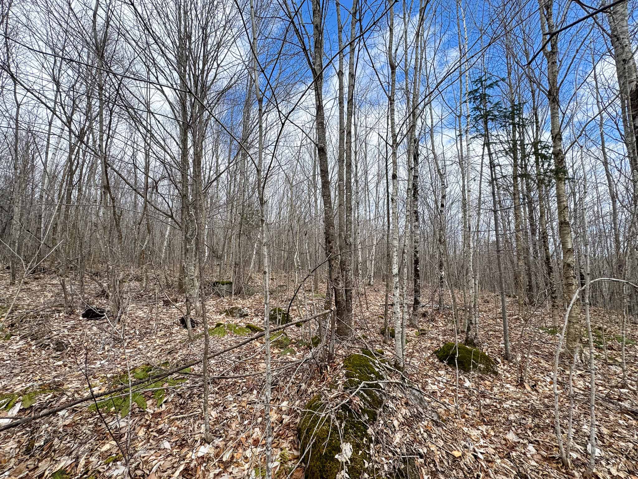 40.8 Acres of Off-Grid Paradise in Lakeville, Maine