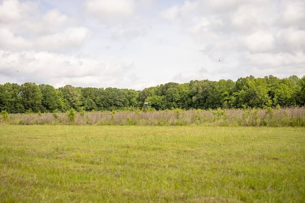 Deer, Duck, and Turkey Hunting in Claiborne County, MS