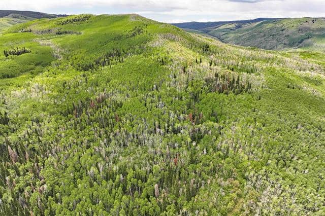 Colorado Hunting Land For Sale Near Vega State Park