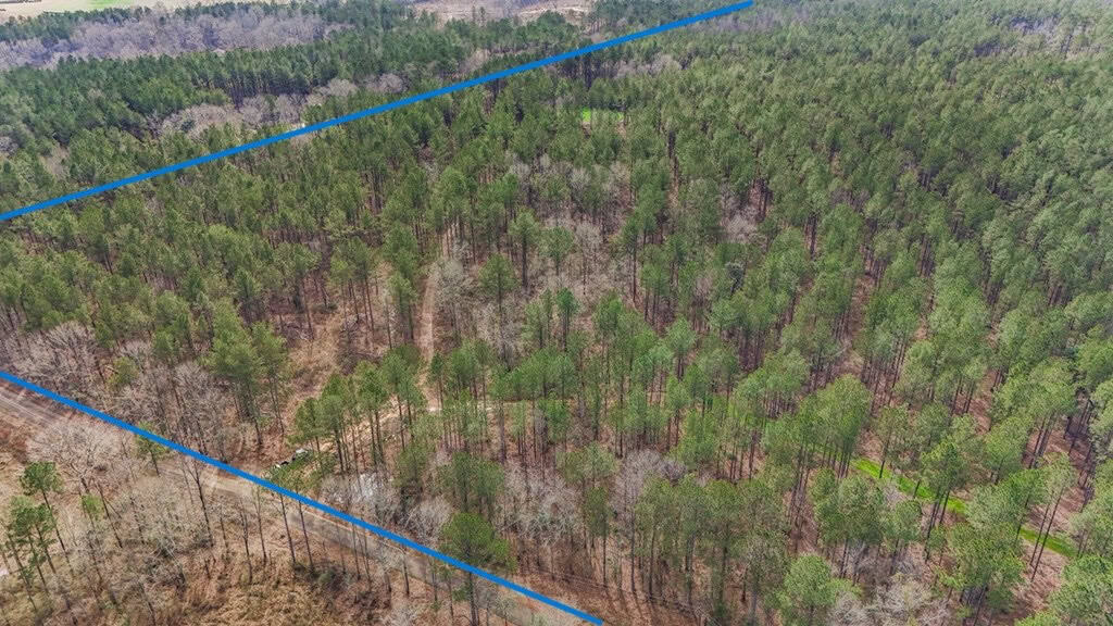 Amite County Hunting Land for Sale