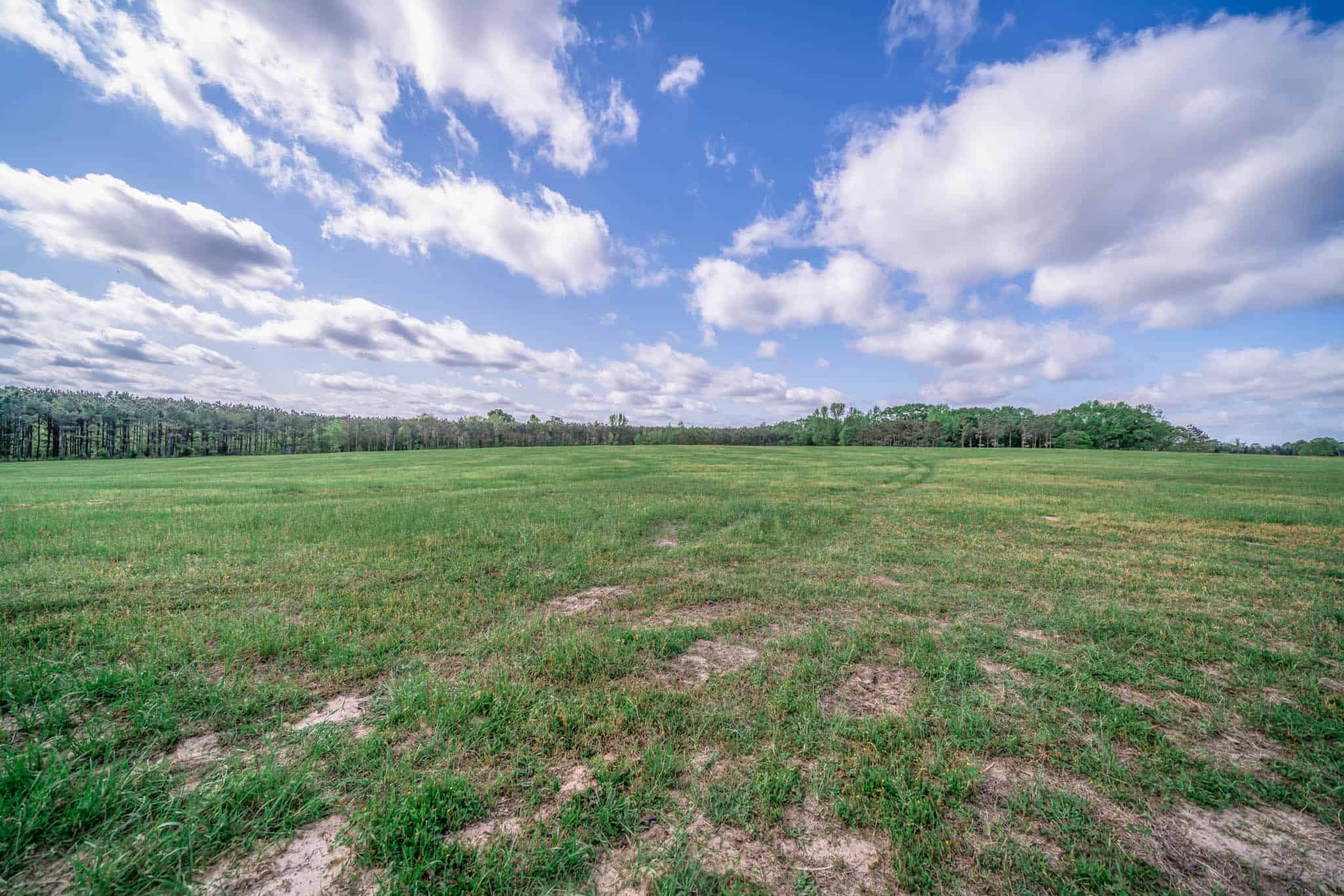 Twin Pine Ranch, An Exceptional East Texas Ranch Property