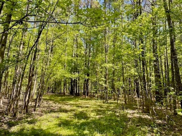 69 Acres For Sale Starkville MS