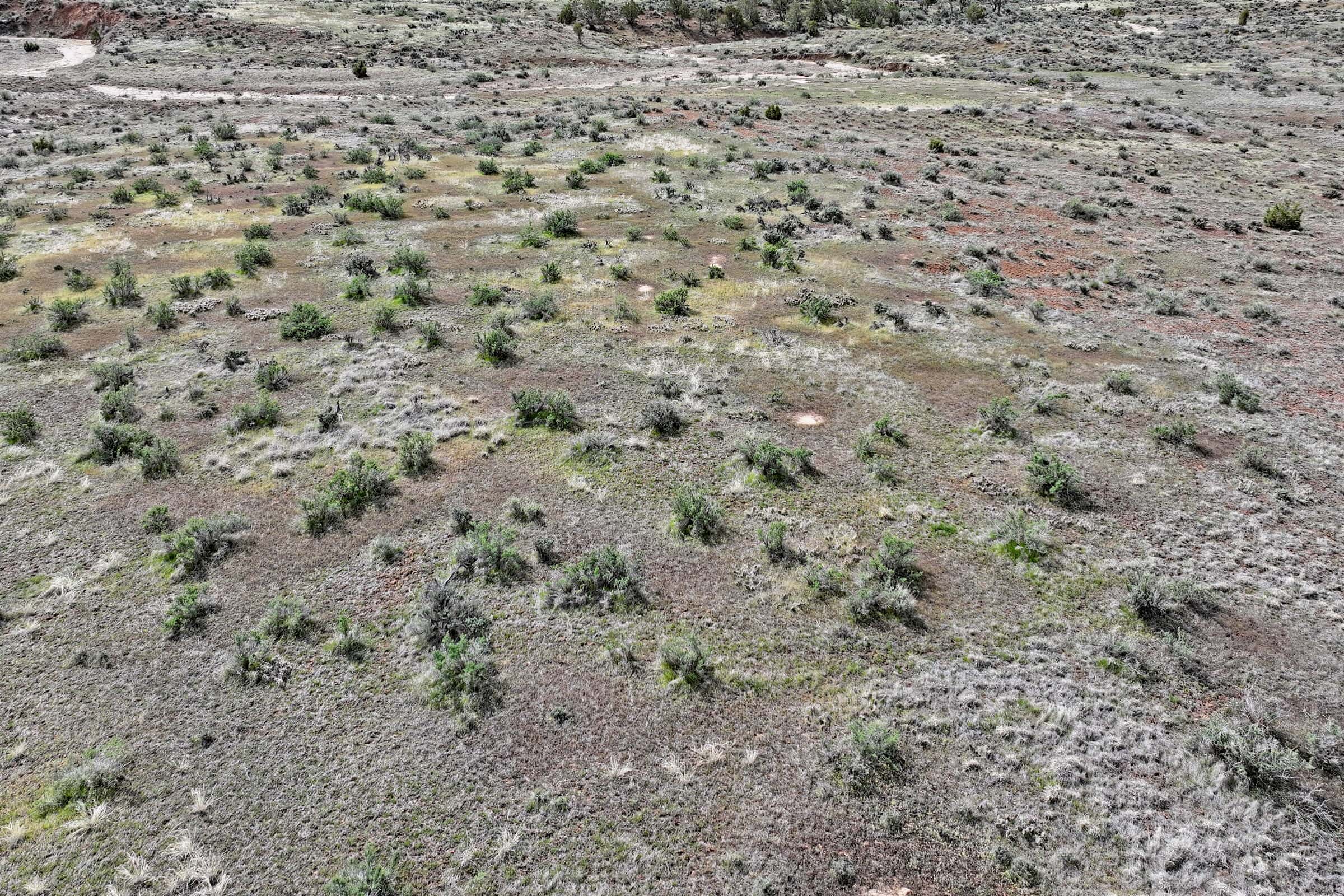 Vacant Hunting Land Bordering Public Land, BLM Access on Western Slope Colorado