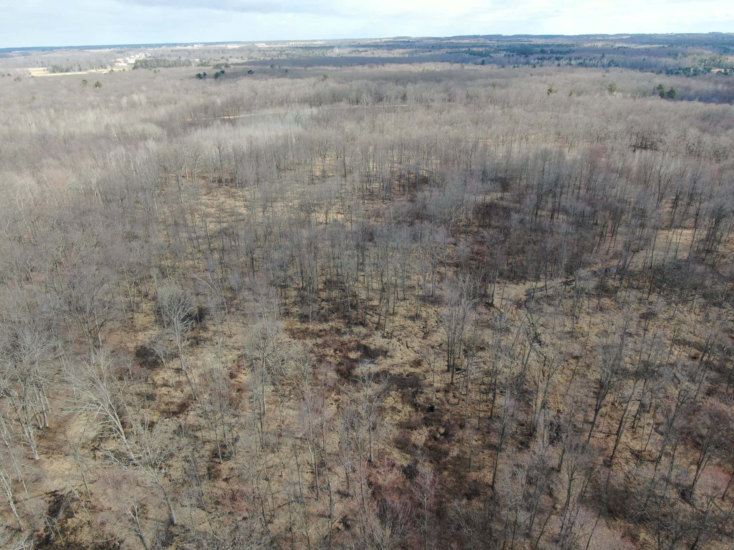 75-acre parcel in the heart of Clark County Wisconsin