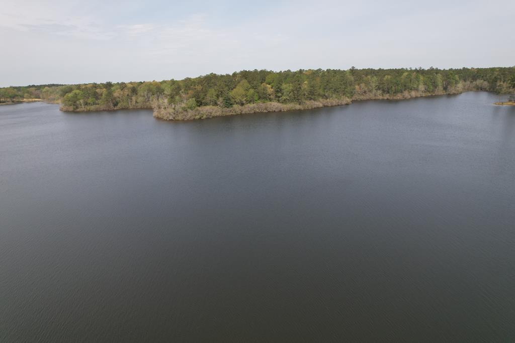 An Outdoorsman’s Paradise 719 Acres with 110 Acre Lake and Custom Built Home Pearl River County Mississippi