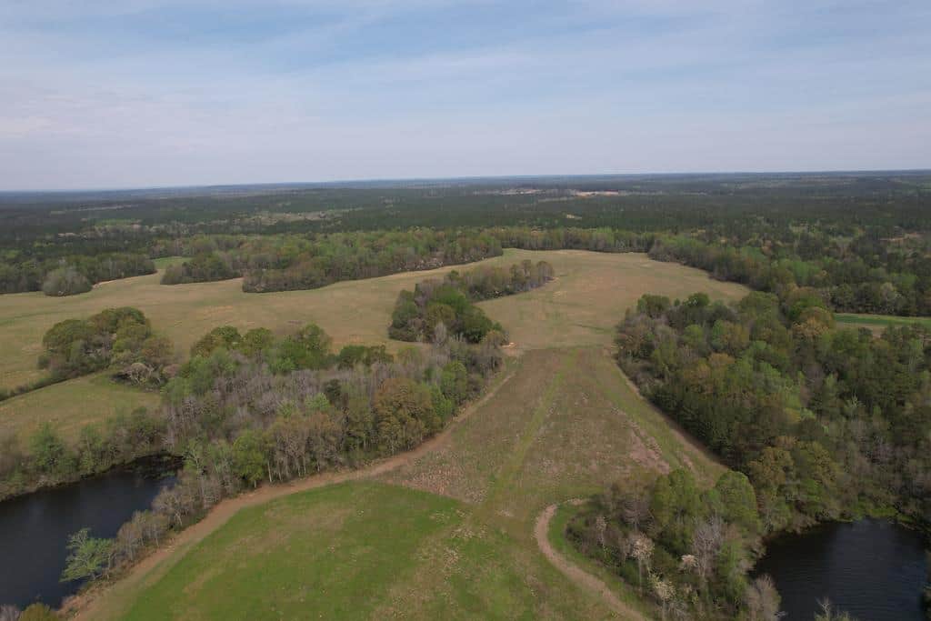An Outdoorsman’s Paradise 719 Acres with 110 Acre Lake and Custom Built Home Pearl River County Mississippi