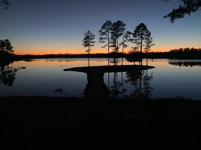 An Outdoorsman’s Paradise 719 Acres with 110 Acre Lake and Custom Built Home Pearl River County Mississippi