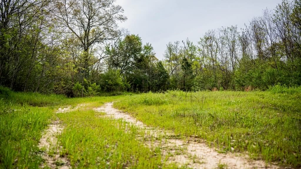 Affordable Property in Woodville, MS