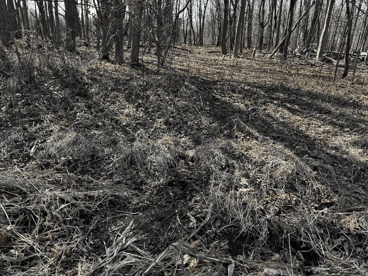 66.48 Acres located in the Town of Lewiston Columbia County