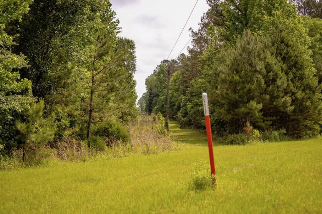Deer, Duck, and Turkey Hunting in Claiborne County, MS
