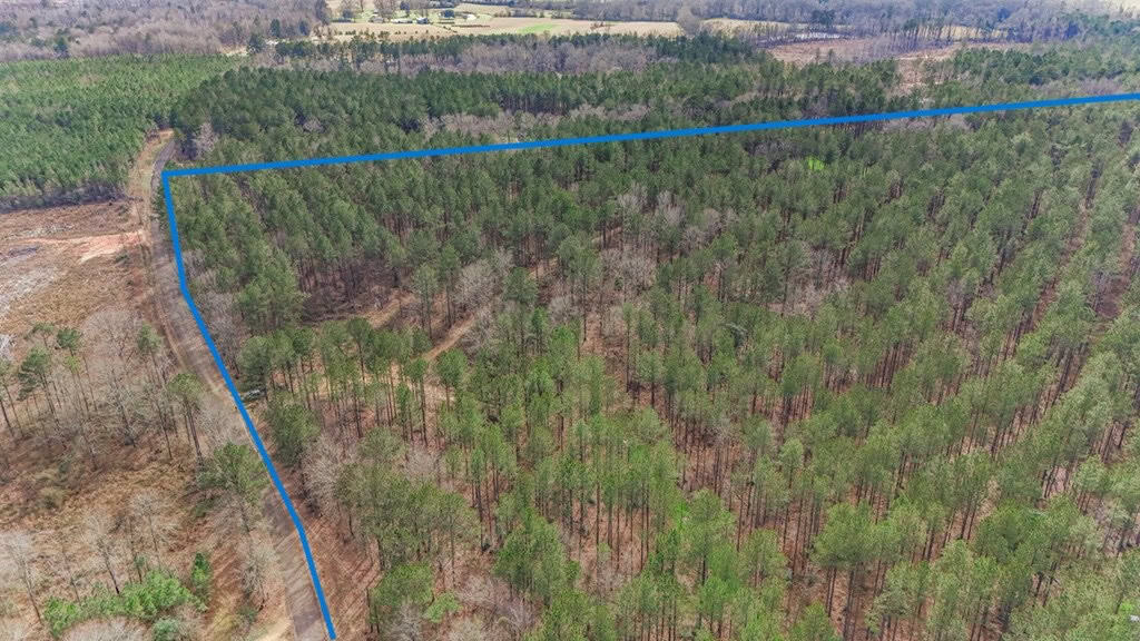 Amite County Hunting Land for Sale