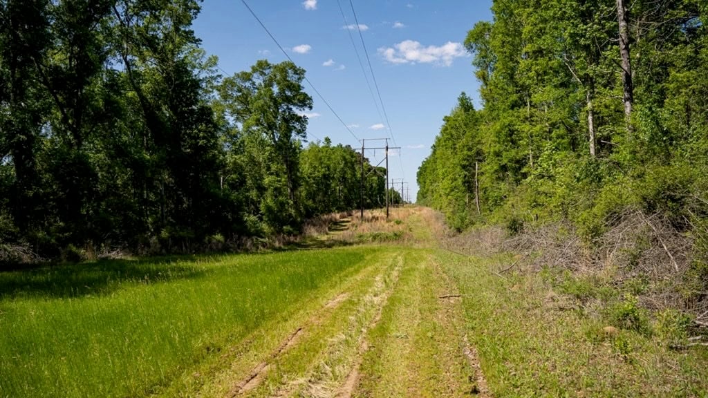 Deer and Turkey Property in Pike County, MS