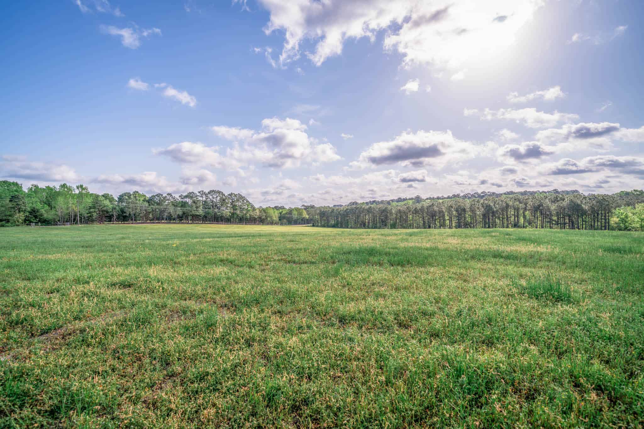 Twin Pine Ranch, An Exceptional East Texas Ranch Property