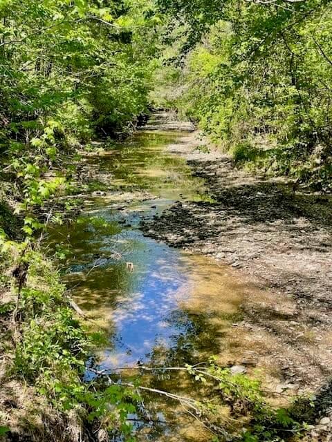 69 Acres For Sale Starkville MS