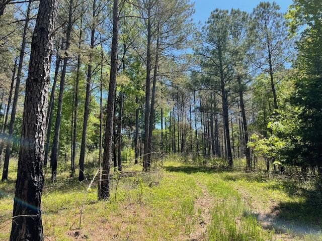 40 Acres For Sale Starkville MS