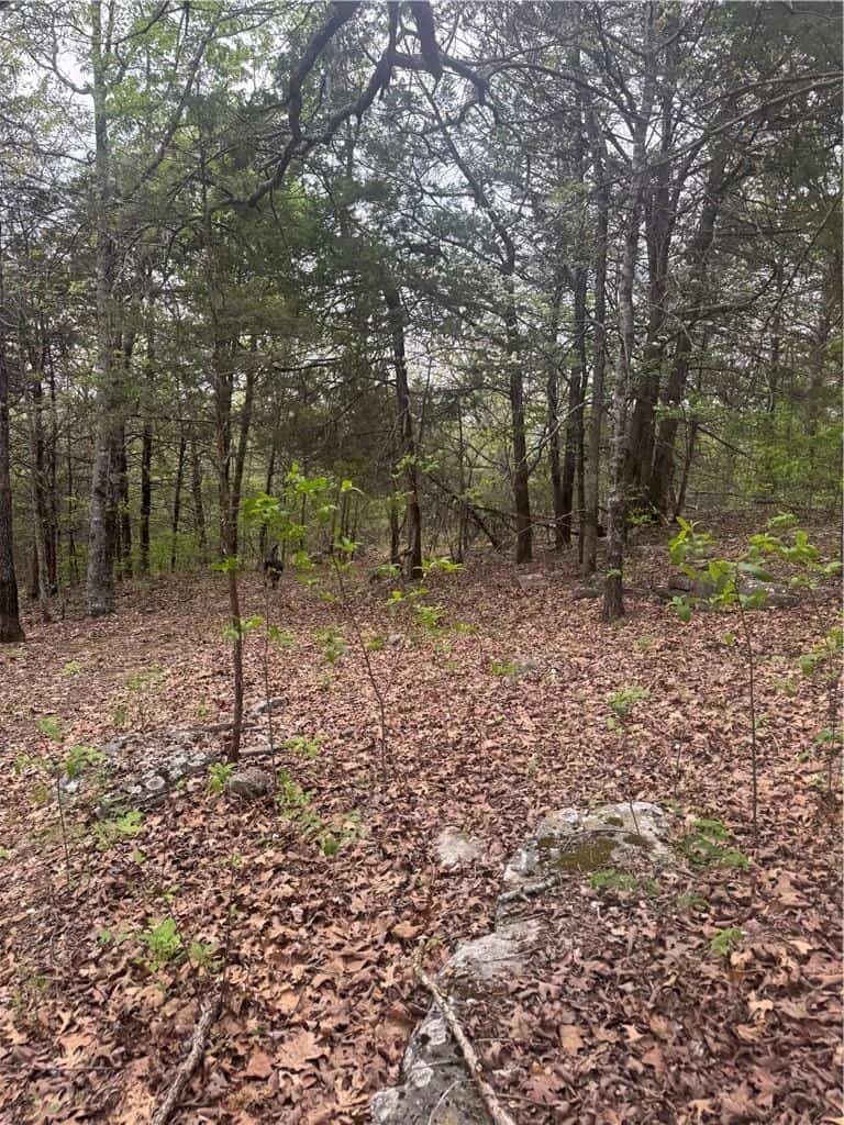 120 Acres Arkansas Hunting Land For Sale with Creek Frontage and Trails