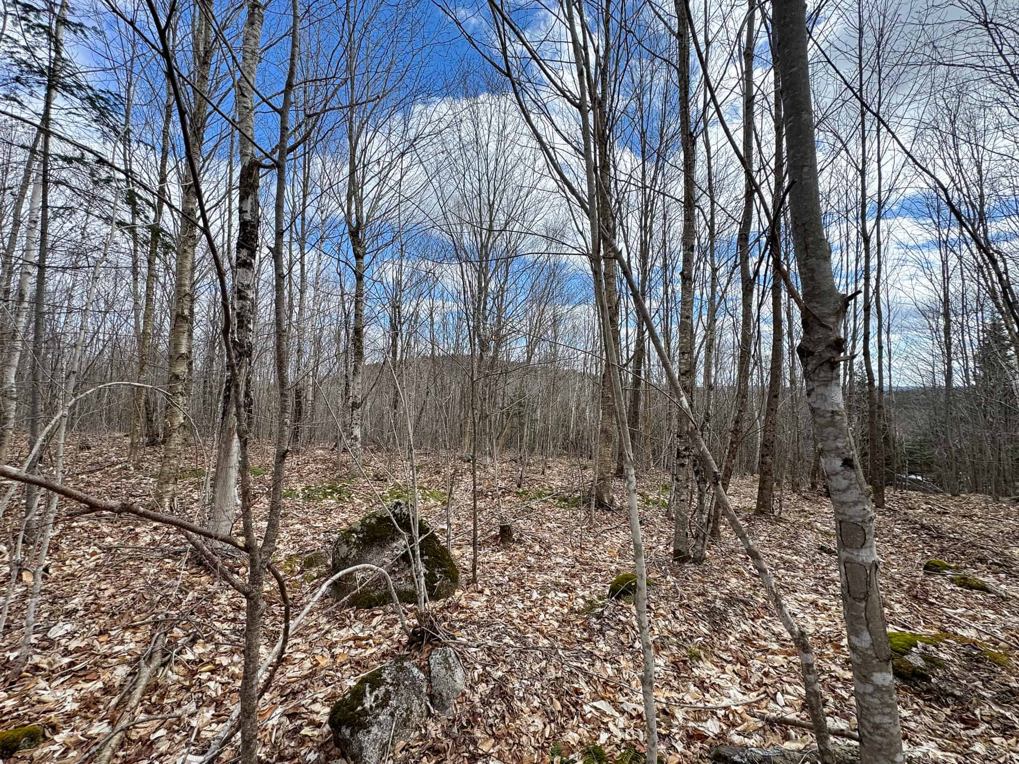 40.8 Acres of Off-Grid Paradise in Lakeville, Maine