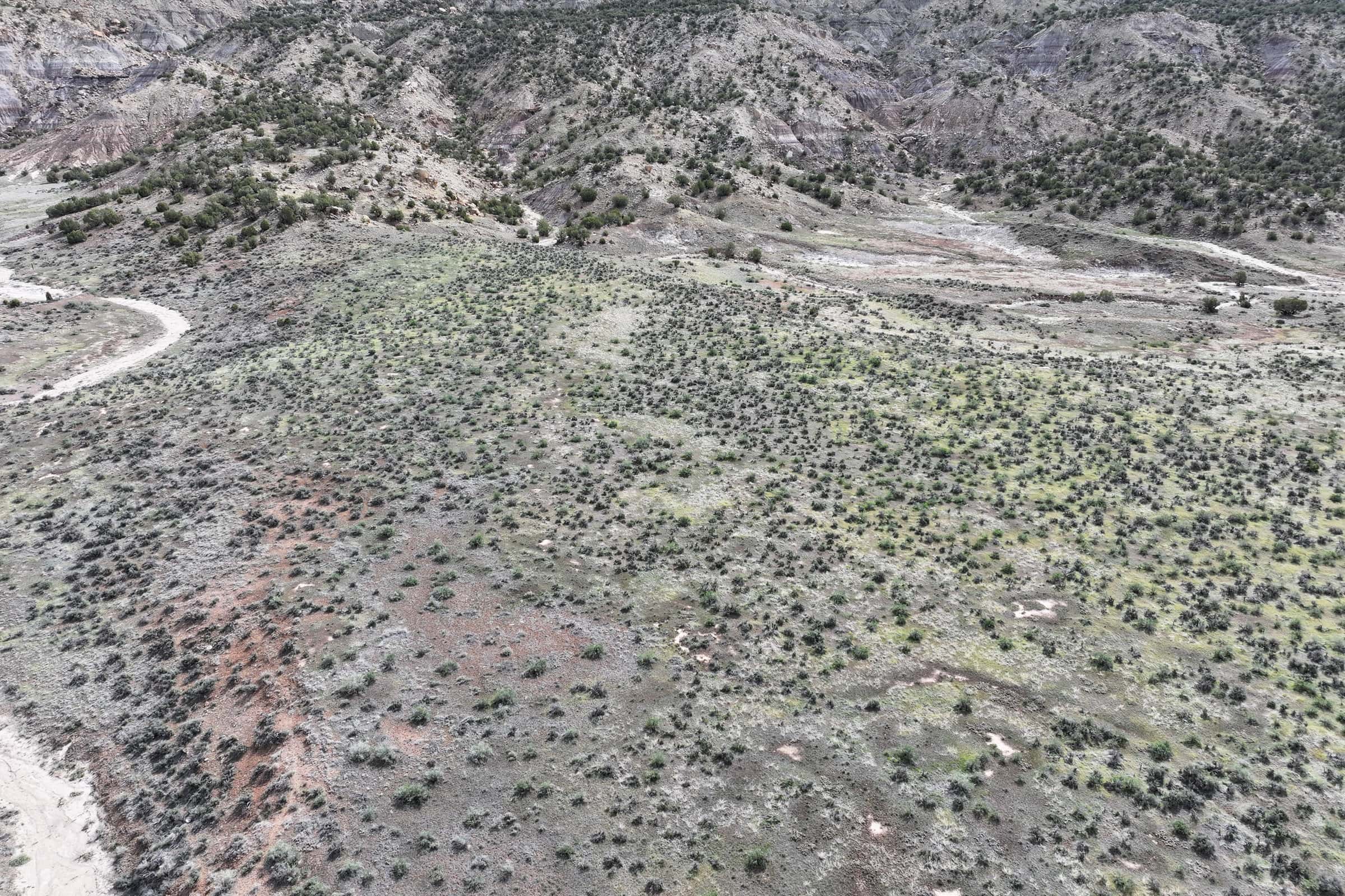 Vacant Hunting Land Bordering Public Land, BLM Access on Western Slope Colorado