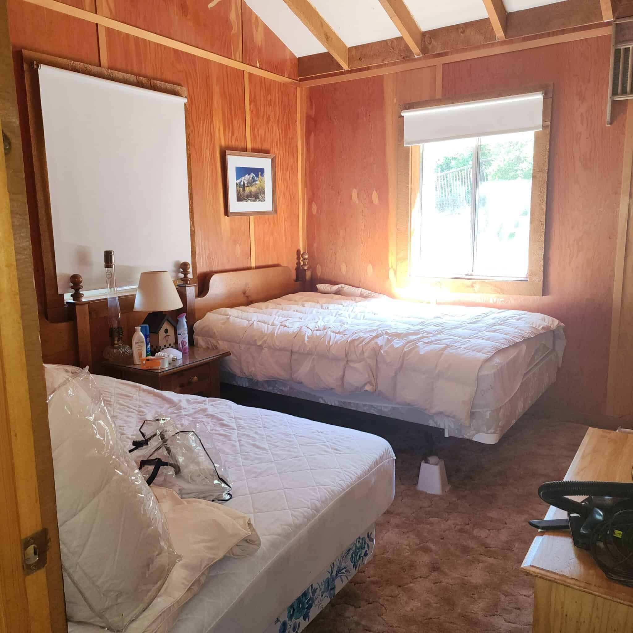 Cabin on 36 Acres with National Forest Access