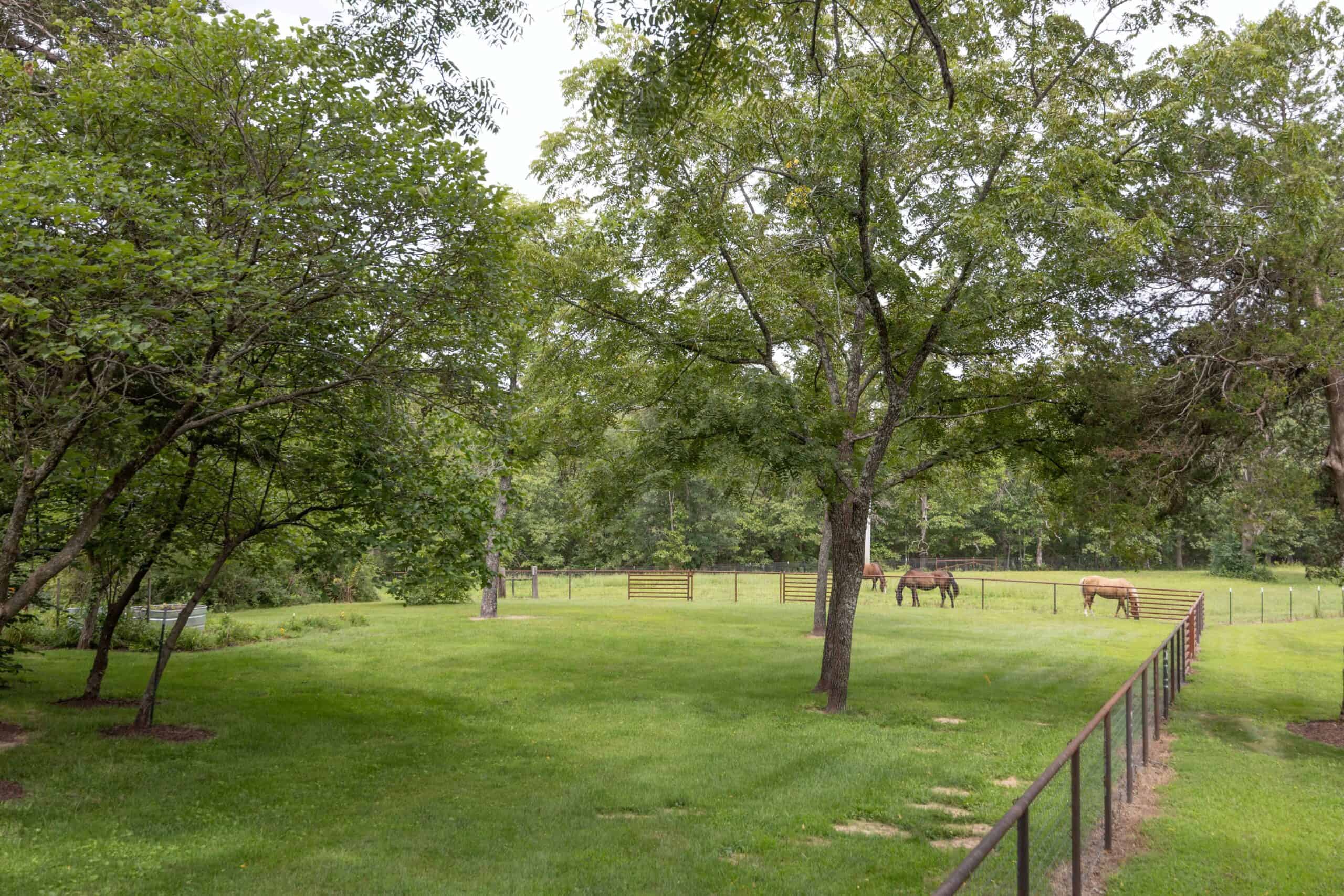 Hunter’s Paradise in the Heart of Missouri – Elk Head Lodge, Bland, MO