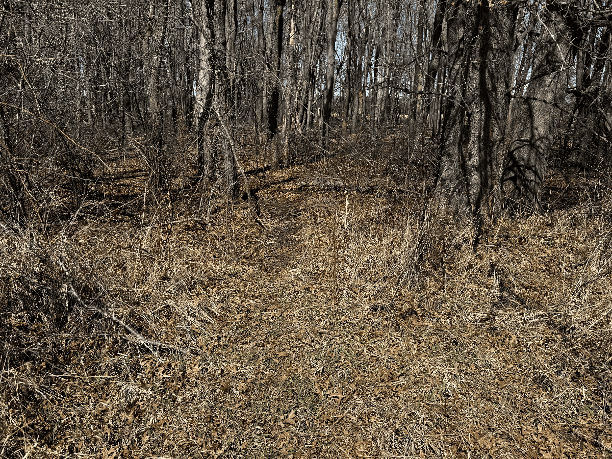 66.48 Acres located in the Town of Lewiston Columbia County