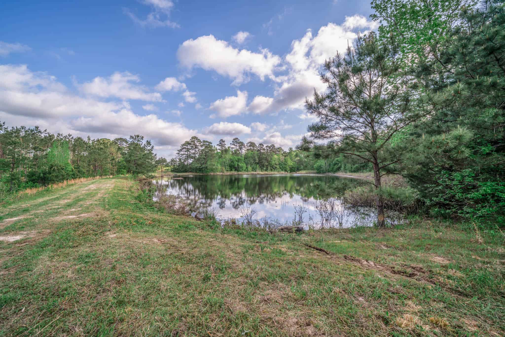 Twin Pine Ranch, An Exceptional East Texas Ranch Property