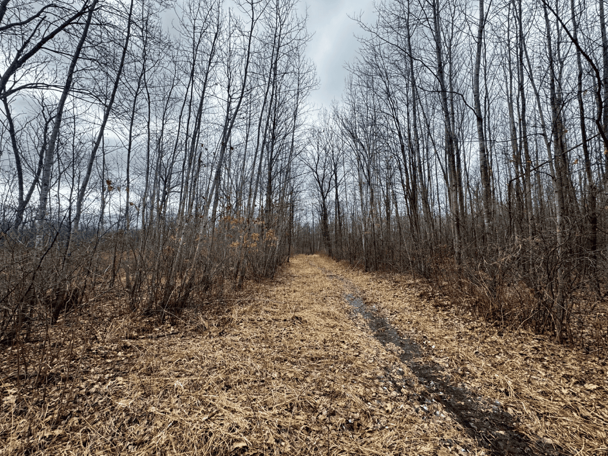 75-acre parcel in the heart of Clark County Wisconsin