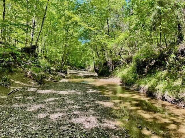 69 Acres For Sale Starkville MS
