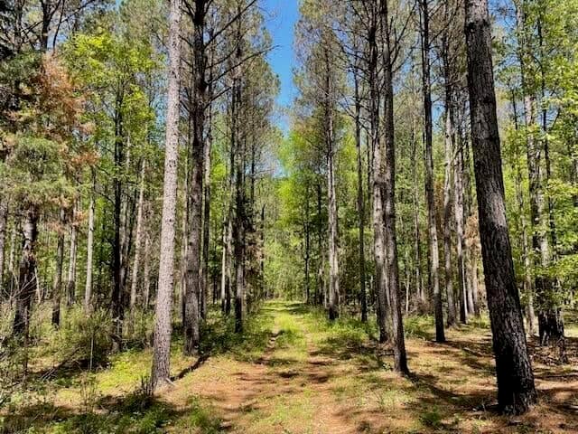 40 Acres For Sale Starkville MS