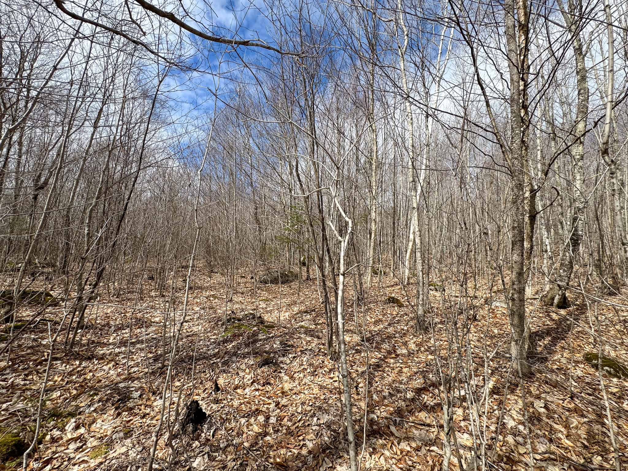 40.8 Acres of Off-Grid Paradise in Lakeville, Maine