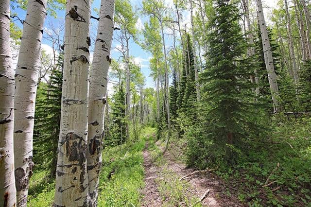 Colorado Hunting Land For Sale Near Vega State Park
