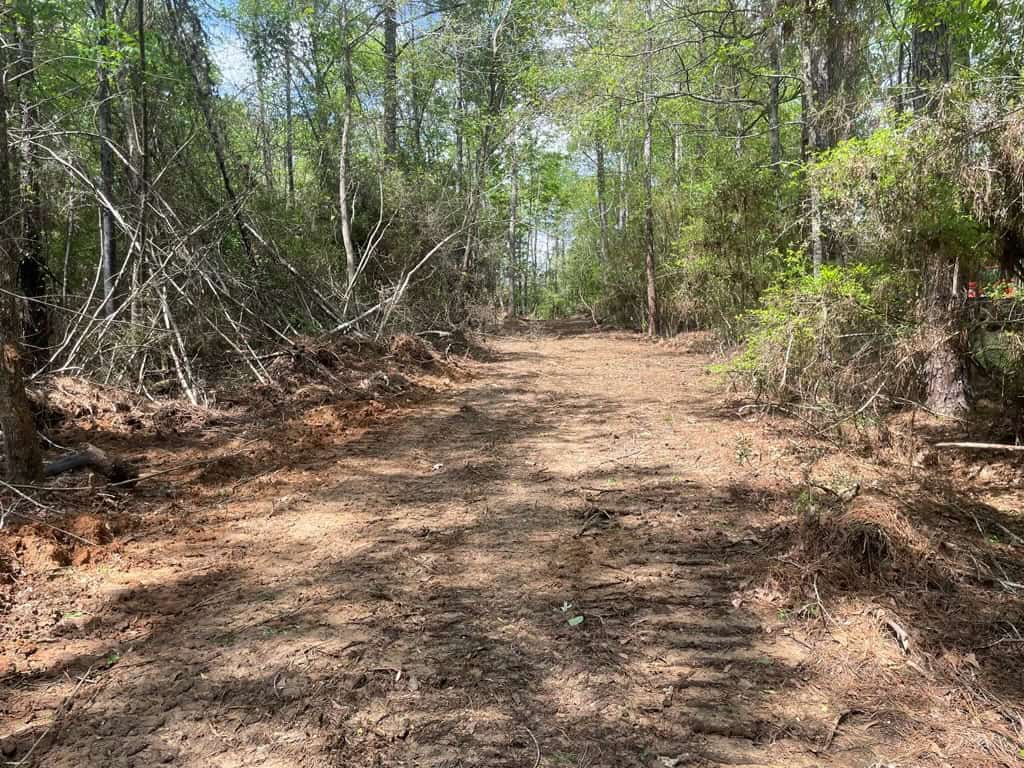 Amite County 38.6 Acres For Sale